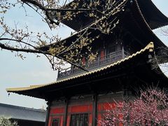 -广富林郊野公园