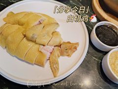白切鸡-大鸽饭(北京路店)
