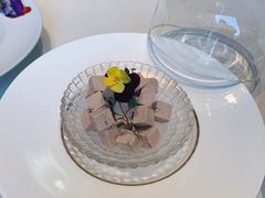 -蝶园·装修中(BFC外滩金融中心店)