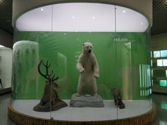 -国家自然博物馆