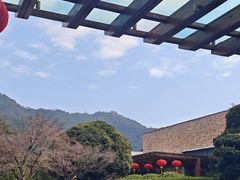 -羡餐厅·杭帮菜·淳菜(千岛湖自由洲际殿店)