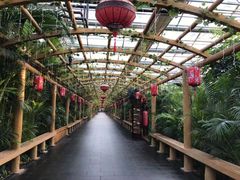 -东方华地城湿地温泉度假区