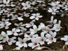 -田心森林公园
