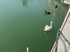 -泉城欧乐堡梦幻世界