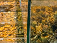 -良师门滨海人家·海鲜·家常菜(滨海城店)