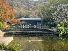 -云溪植物园