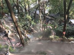 -巴倒烫陆派火锅山庄(南山总店)
