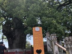 -新安江山水画廊风景区