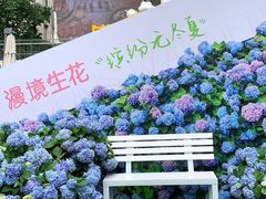-HALO广场(梨园路店)