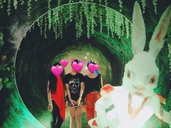 -爱丽丝冒险奇遇记