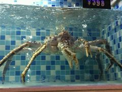 -船奇蒸汽海鲜·闽菜(八市海鲜总店)