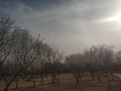 -廊坊市自然公园