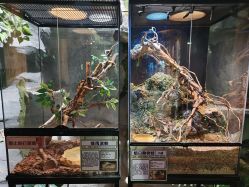 -Zoolung Zoolung动物主题公园(海信广场店)