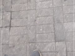 -龙记烧腊茶餐厅(常德路店)