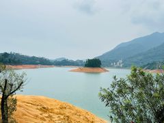 -广州市流溪河国家森林公园