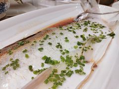 -新光酒家·河豚·海鲜·蟹料理(浦东店)