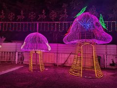 -新五爱道夜市