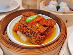 酱汁金钱肚-杏花樓(福州路总店)