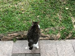 -甜心妈妈·榴莲星级糖水(北京路总店)