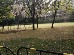 -晓港公园