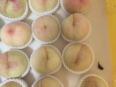 -老袁家蜜桃农场·阳山水蜜桃