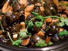 -食爺炭炉鸡煲·烧烤