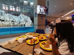 -帝企鹅自助餐厅•儿童岛•真企鹅(长隆企鹅酒店)