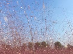 -汉长安城未央宫国家考古遗址公园