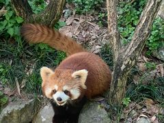 -杭州少年儿童公园