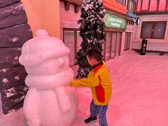 -世界之窗阿尔卑斯冰雪世界