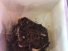 -糖涩(新佳丽店)