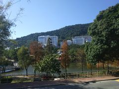 -大埔公路-马料水段香港中文大学(公交站)