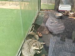 -呀路古热带植物园