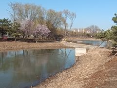 -永定河休闲森林公园