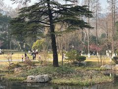 -习家池