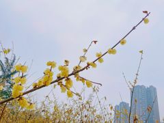 -塔子山公园