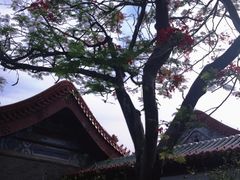 -珠海圆明新园