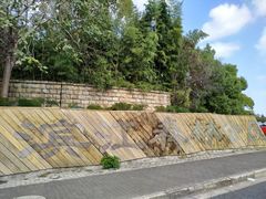 -上海滨江森林公园