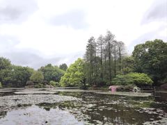 -杭州植物园