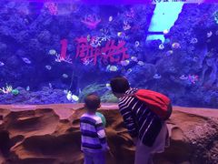 -芜湖新华联大白鲸海洋公园