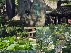 -绍兴东湖风景区