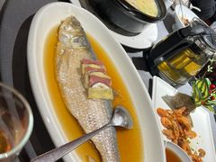 -月湖翠·上海菜(思南公馆淮海店)