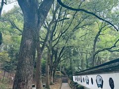 -上海佘山国家森林公园天马山园