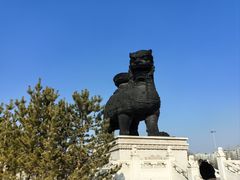 -金狮国际酒店自助餐(金狮店)