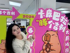 -盛京大奥莱(沈阳奥体店)