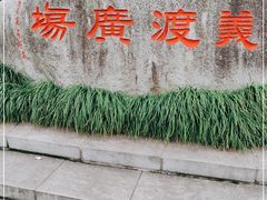 -大渡口区义渡公园