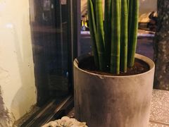 -Apollo·西班牙小酒馆(安福路店)