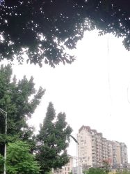 点击看大图 -韩美绣·骨相纹眉·洗眉美瞳线