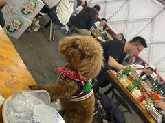 -老黑板筋(顺义总店)