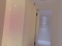 -紫御国际抗衰ZOE ANTI AGING